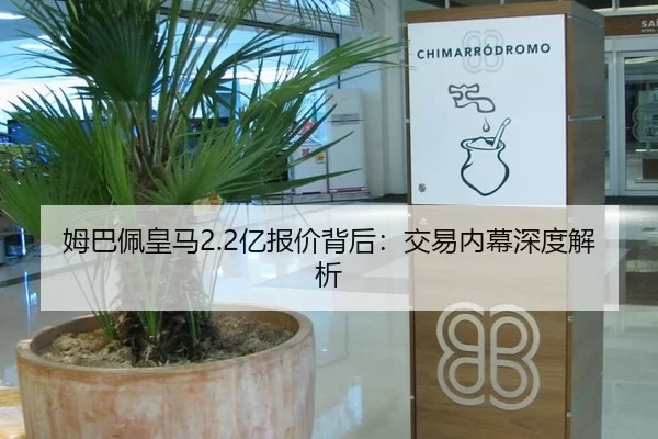 mu-ba-pei-huang-ma-yi-bao-jia-bei-hou-jiao-yi-nei-mu-shen-du-jie-xi-2-222.jpg