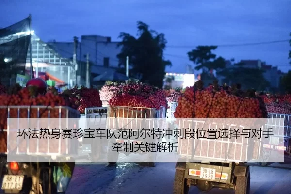 环法热身赛珍宝车队范阿尔特冲刺段位置选择与对手牵制关键解析